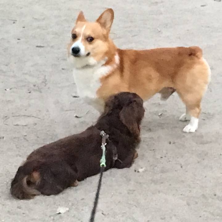 9d9f0241 f6ca 45ac b1f5 c8a967e62271