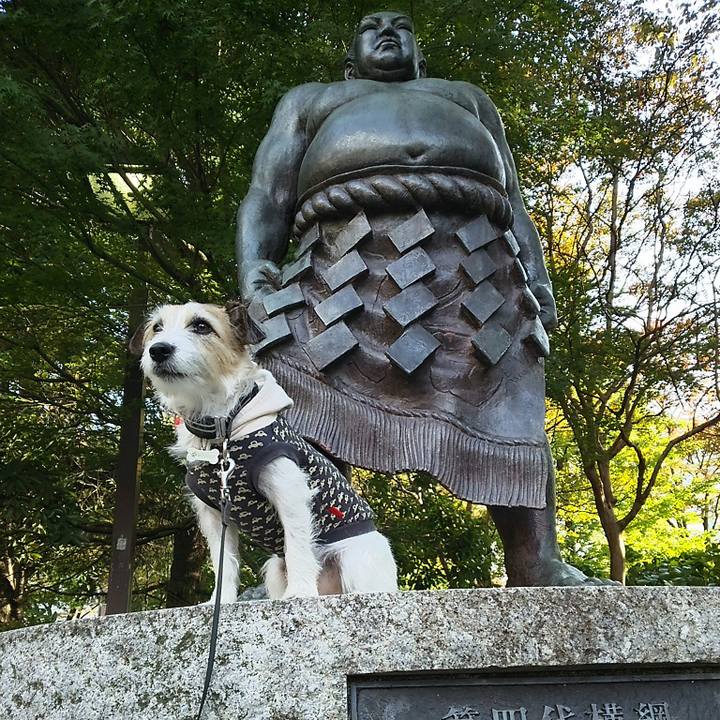 9d9f7a81 06a9 467c bc4a 8f453da03b6e