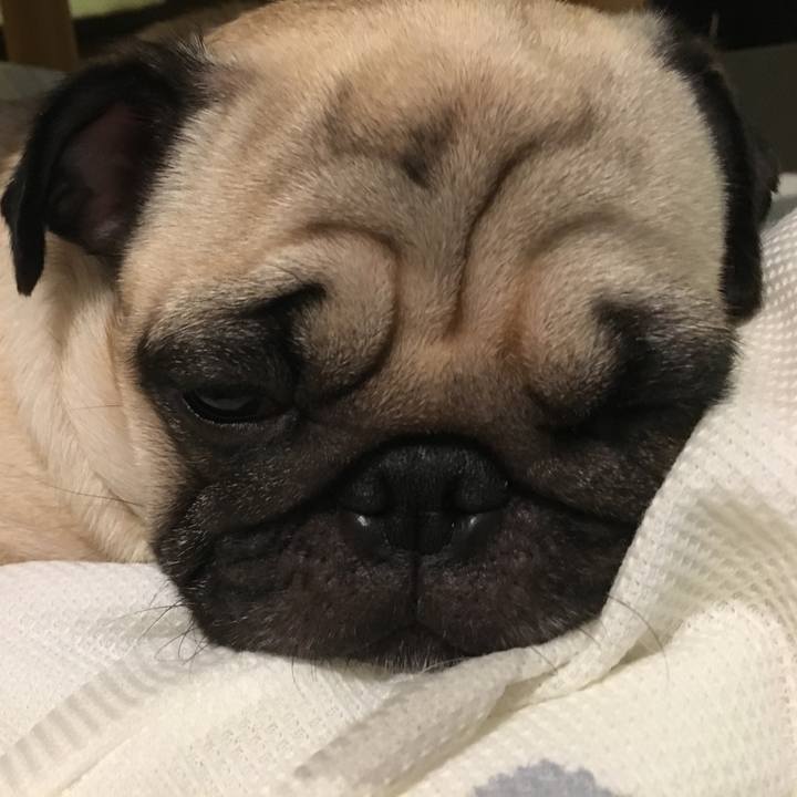 9d9fa20d fb22 481f b93c ae54f7880b58