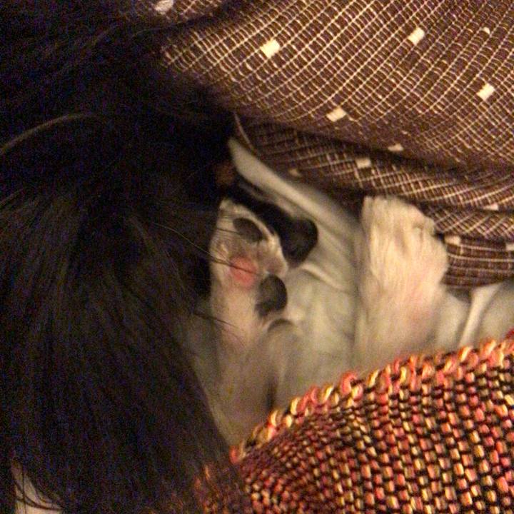 9da006b4 f33a 492c b249 f9ab54821787