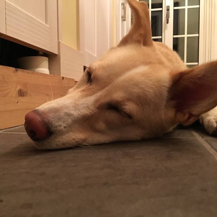 9da03368 4694 44d6 a557 d6f265a202c7