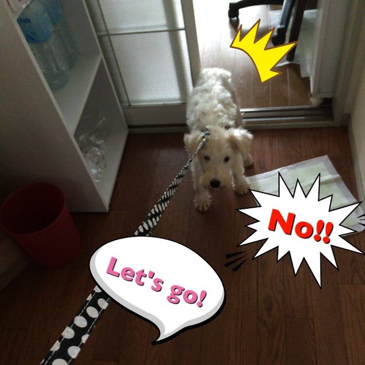 9da057dd 44ad 4719 af62 b08853648007