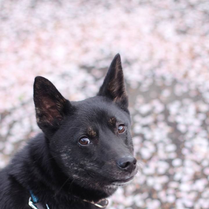 9da063f7 b966 4a81 a858 2ce46b382fe4