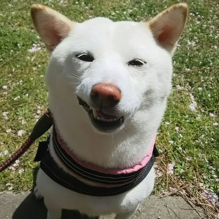 9da0cc1b c7a1 46c3 b88b cbc95c9fed5d