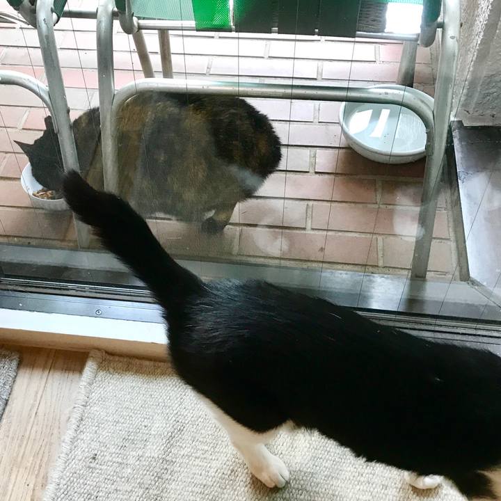 9da1b9ef 25ff 405c 9c51 bbc03593b67b