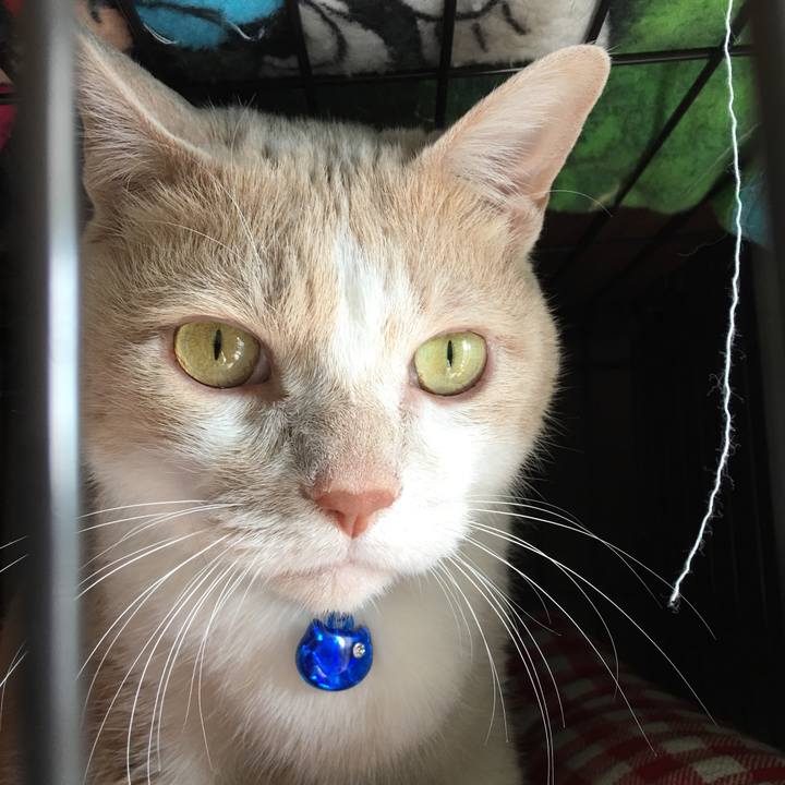 9da1bb0c 1e47 4e63 bb6c 1b5dc1e1df42