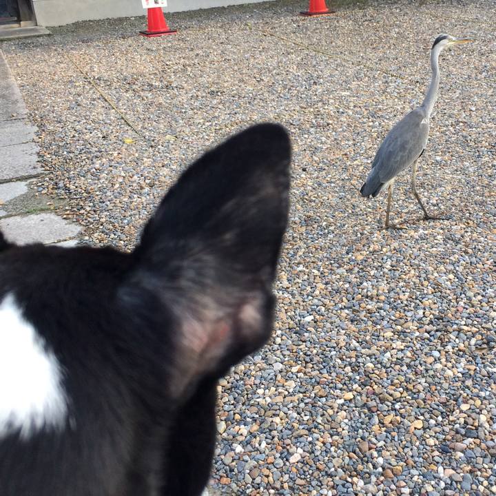 9da1c78a e413 4e94 8669 b9c2600ceaaf