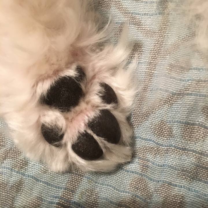 9da23dea f8ff 4a76 83aa de7283129676