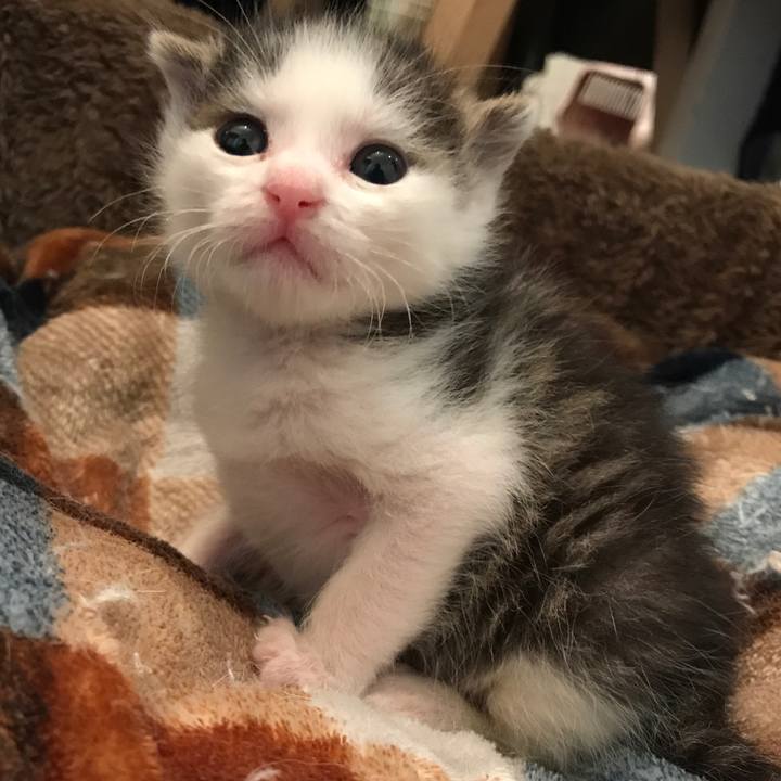 9da25d02 717a 44cf a8a1 476d44a326c0