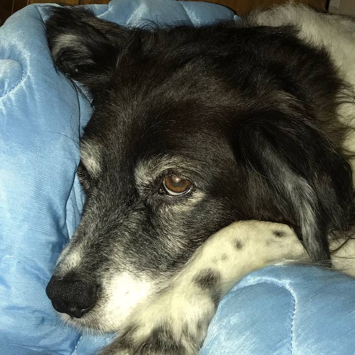 9da29ff1 b5b1 4114 bfd5 11eeec34ccf4