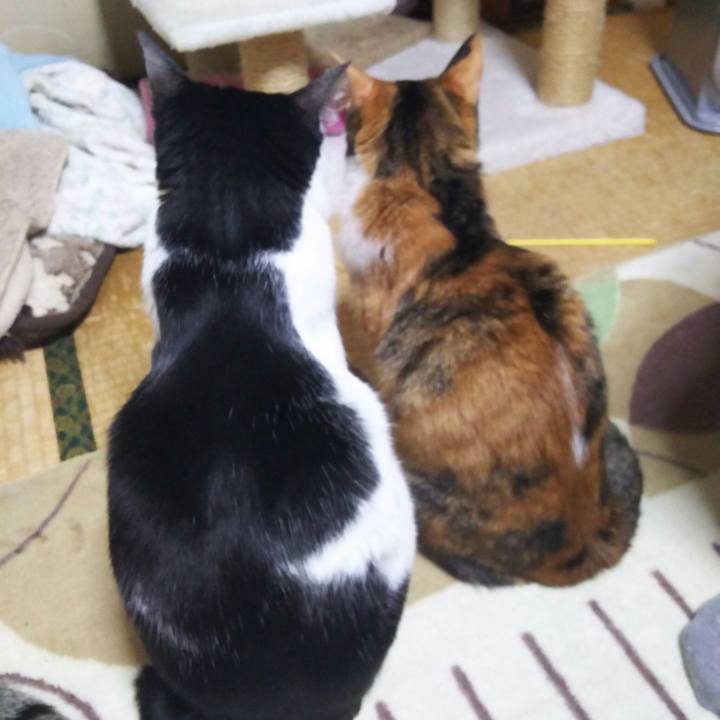 9da2fb2e e669 478f b5dd 8547214161ee