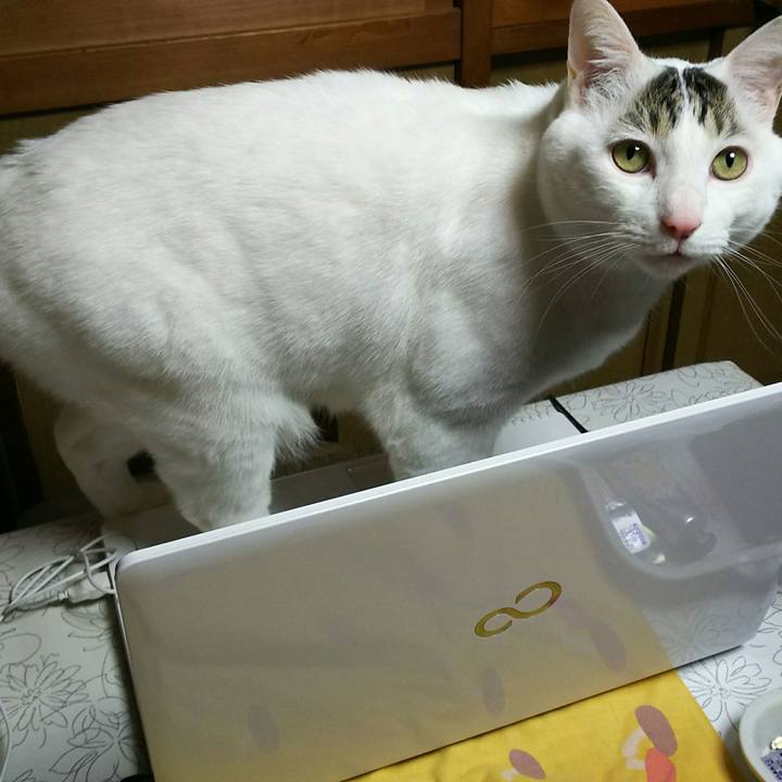 9da339ef 09c3 440b aa86 1ec0008e9164