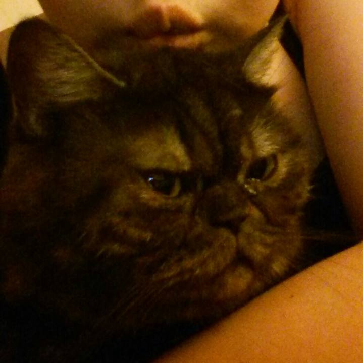 9da34499 2055 4450 aac1 ca76f9913321