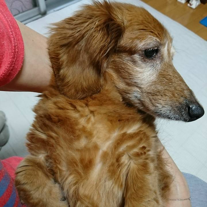 9da3c106 3d7c 44f5 9d04 0624b4eb41a3