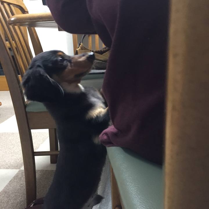 9da3ff8a 51ee 4710 a6db 1675434e5013