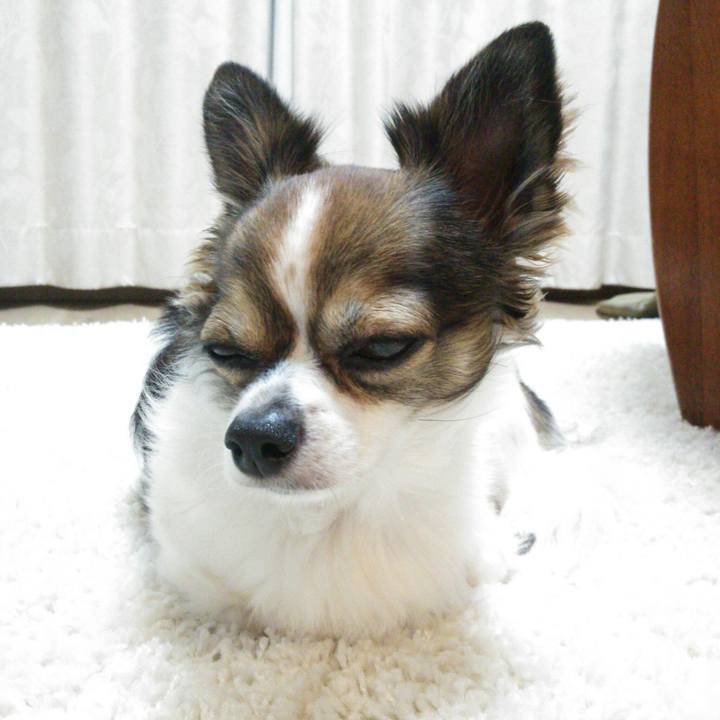 9da48864 f09a 492e 88dd d4564e27eb3b