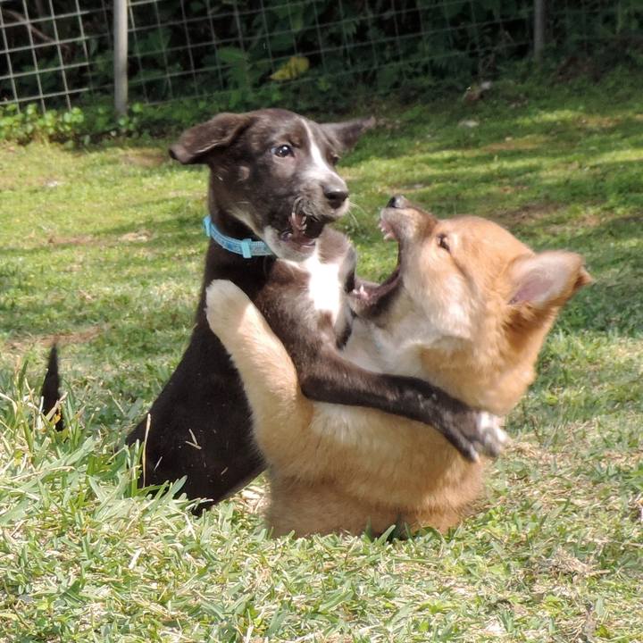 9da5e083 c400 429a b80e 5046dbcbd7ba