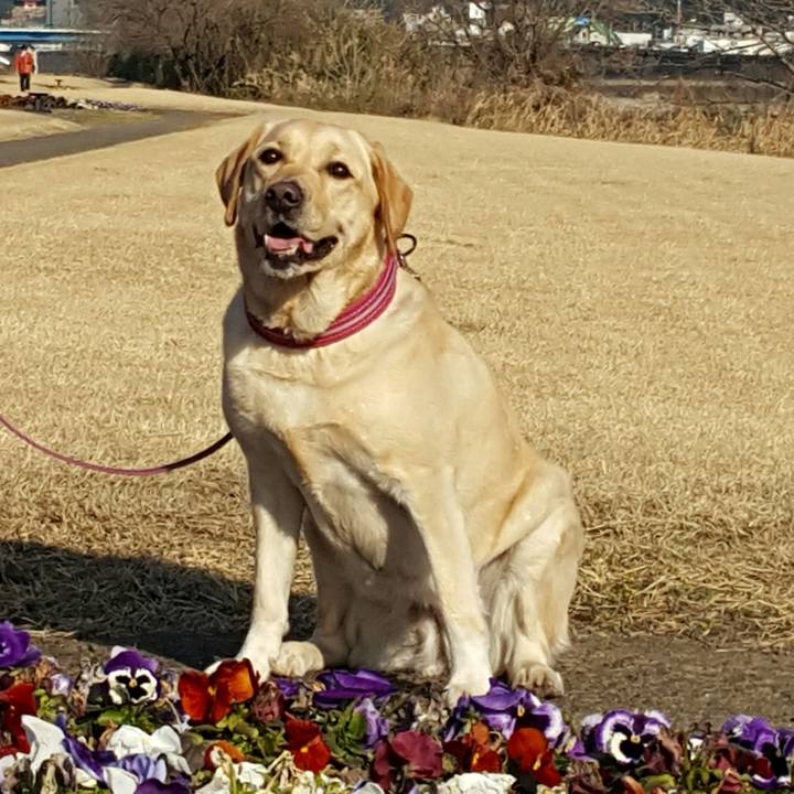 9da76ec1 d4ea 47bd 9934 e0bb73257bee