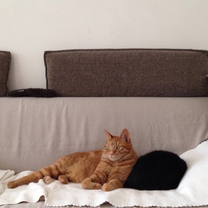 9da82284 18f9 4673 af2f 9b7771bd3c34