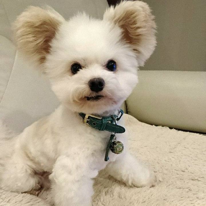 9da8af65 6dc2 4364 955c 2b88102883cf