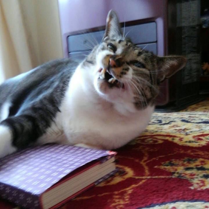 9da902cb 89f4 40bc ae16 ad8d78eea017