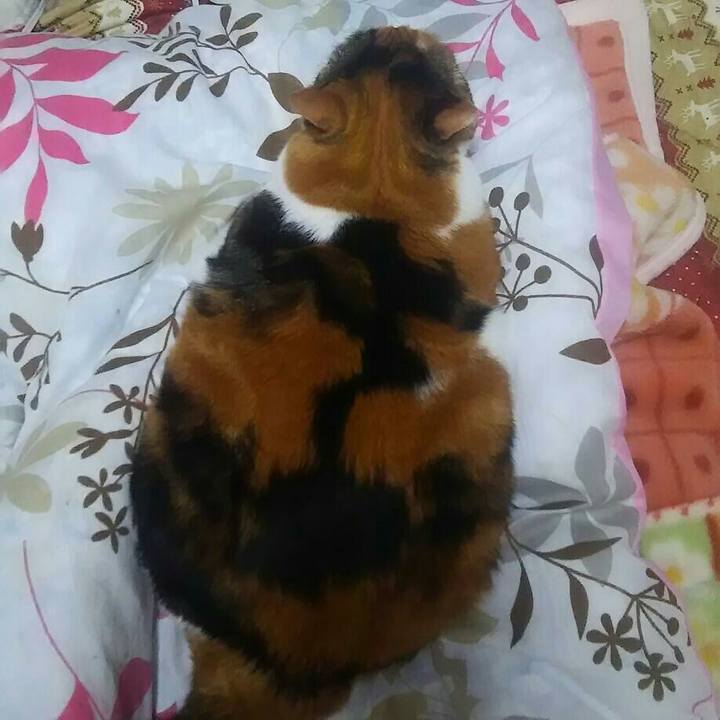 9da939f1 a507 4cd1 841e ea47750d2087