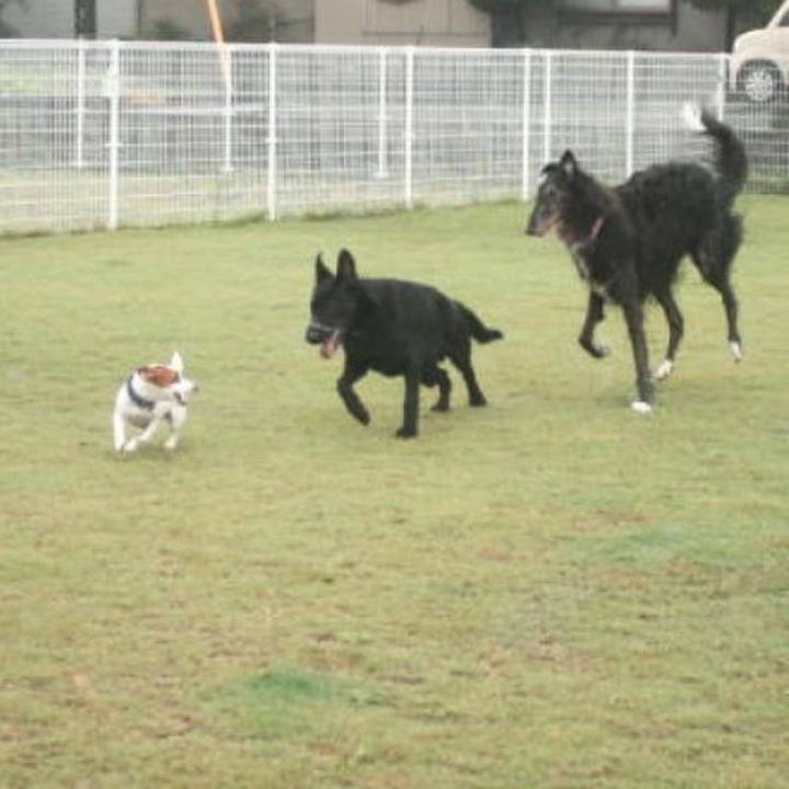 9da98471 64fc 43ac 9bbb a879e31ce0c3