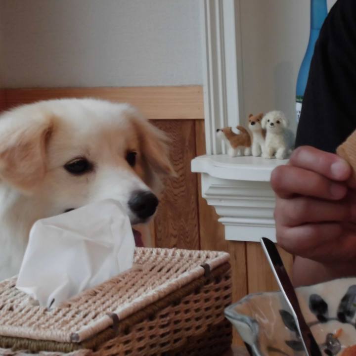 9da9c89d ee5f 4c1e 8d0c 1afa602893be