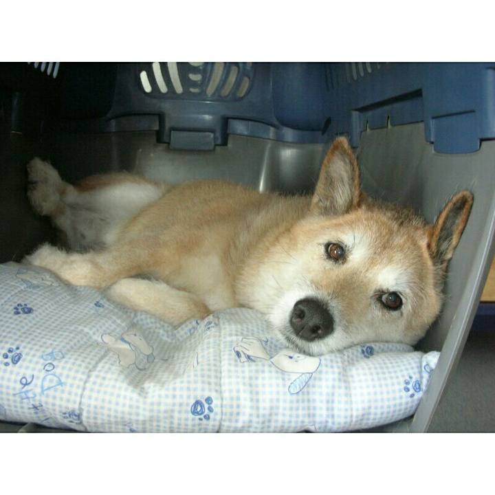 9da9e623 35a2 415d 9391 2be0c0bb259a