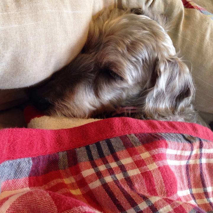 9da9f2a6 f451 4e2c 95b8 6ba7014921b3