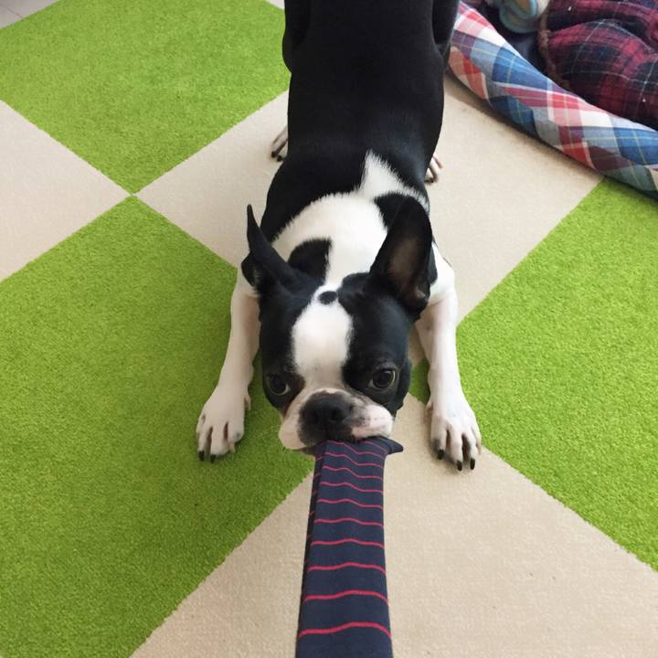 9daa31b9 5fcd 4415 892b 172b28c4c11b