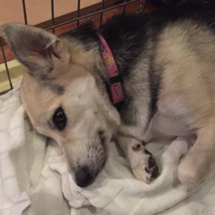 9daa69e4 d263 4125 b5a9 696d65afc469