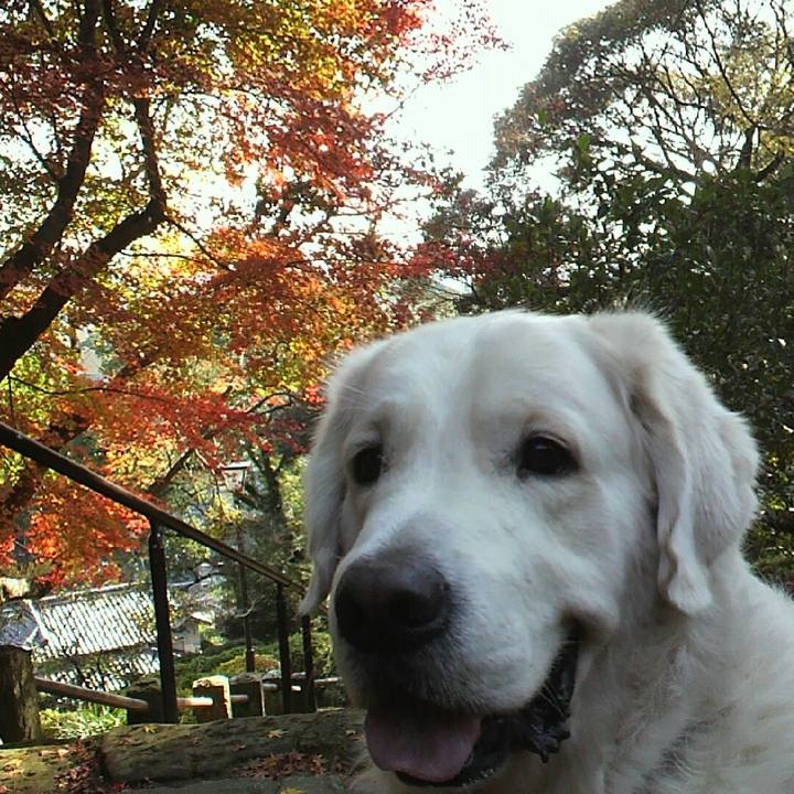 9dab05bb afd9 4444 9a48 ea7e31ed15f1