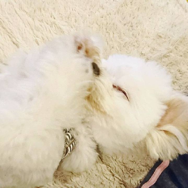 9dab985c db31 4ecd acf1 16e15007e3ae