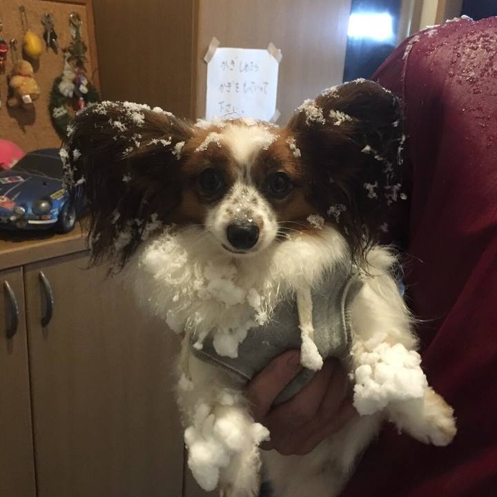 9dabe641 6e5a 4bb0 828c 60fad6f2b2be