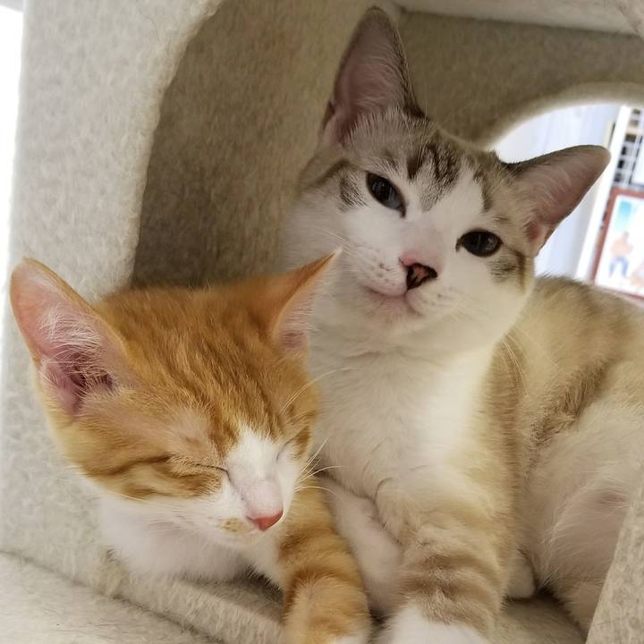 9dac611e c030 4a5e 8aac e8fb0ddd569c