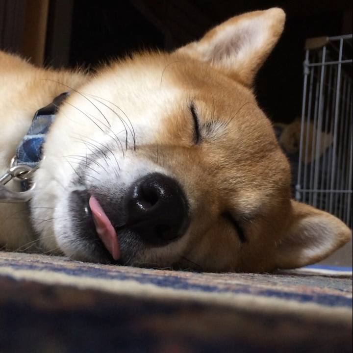 9dad72c1 3a16 4975 9473 ef86fde4b540