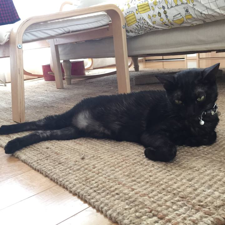 9dad9fbb 97fb 48ec 8d2b 79094b5affb8