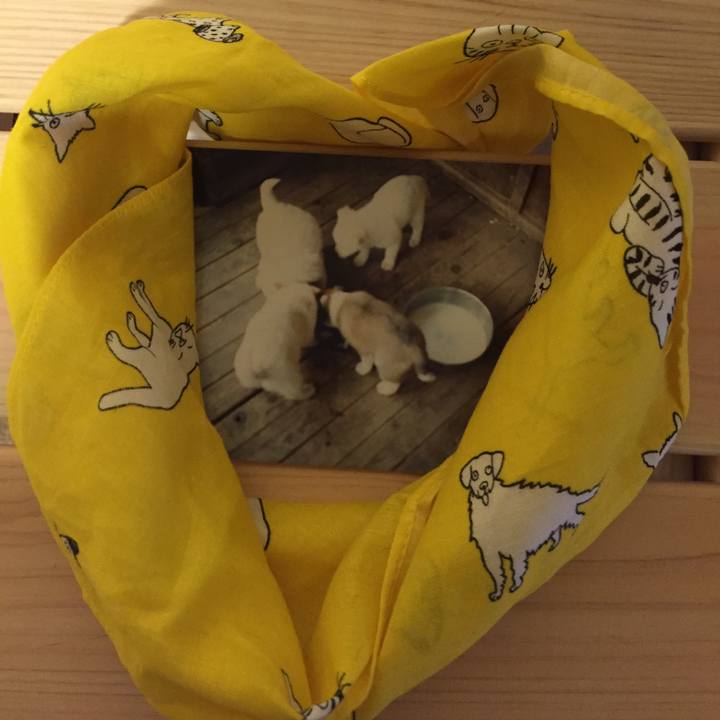 9dae183a c5a1 4c96 8bf9 f6f2d12f5a9c