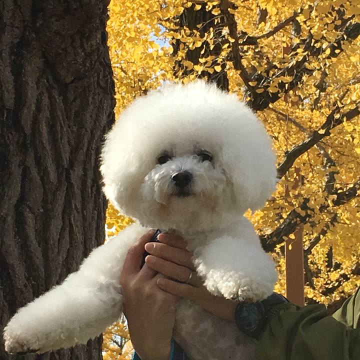 9dae603c 6ac5 44d6 b208 bb83834b74ba