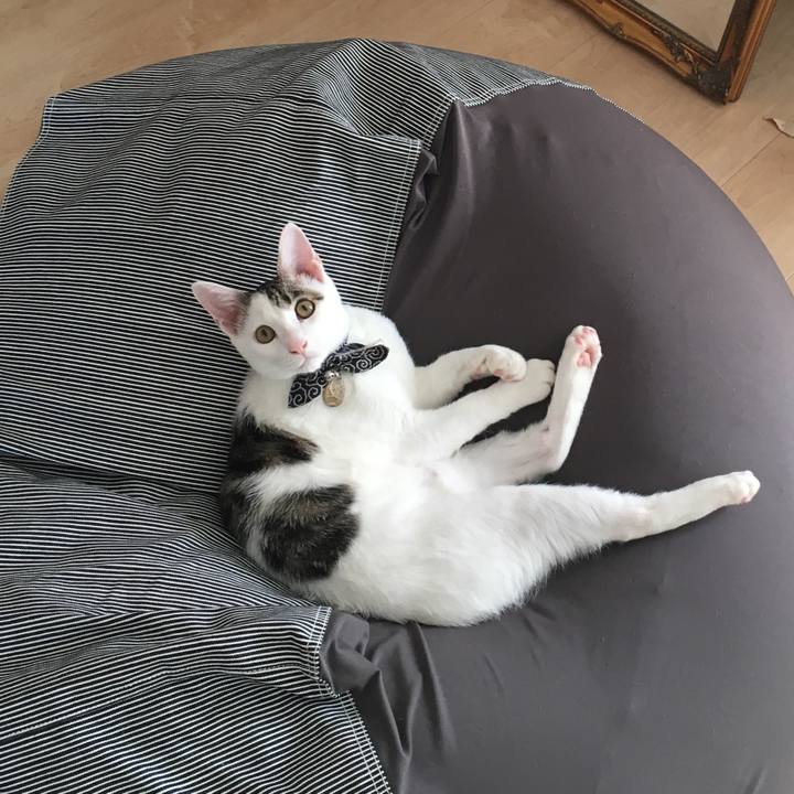 9dae70b1 c4ca 4542 a5c5 4213134f6ac3