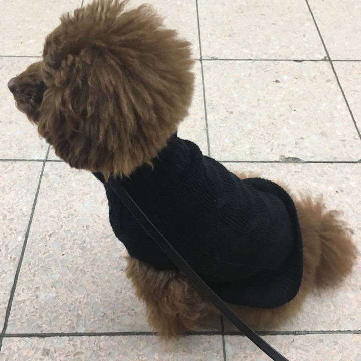 9dae9ee2 becc 4c8f a955 c20e338d4d8a