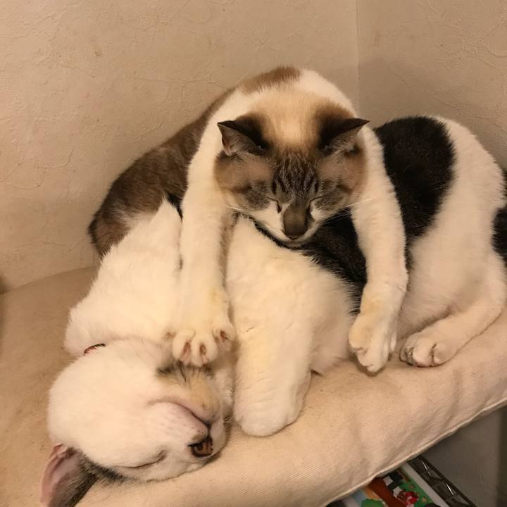 9daf4355 4e18 4257 8dfa 197f78ff7e26