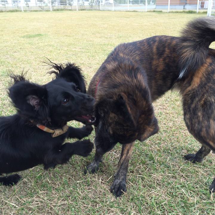 9daf6acc 398a 4772 bc94 7a028495d40a