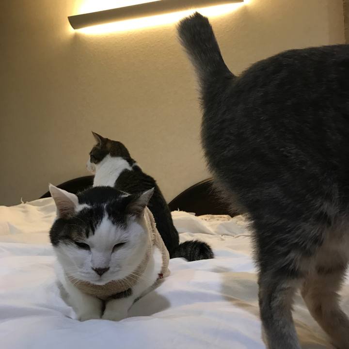 9daff3e4 9b8b 4954 8f23 e1683953e553