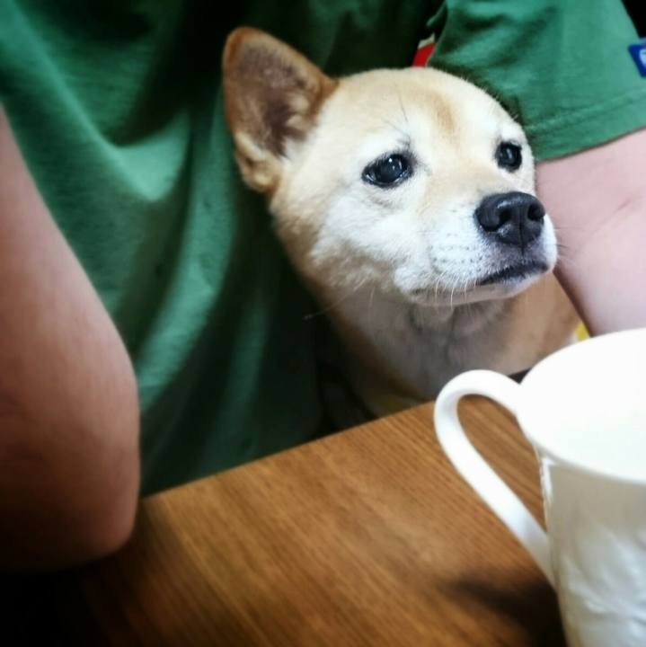 9db11e7b 87b5 4446 996a 8344210e2ed7