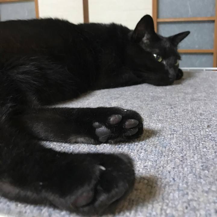 9db133f6 4357 4b3d 8154 742d2a2709ac