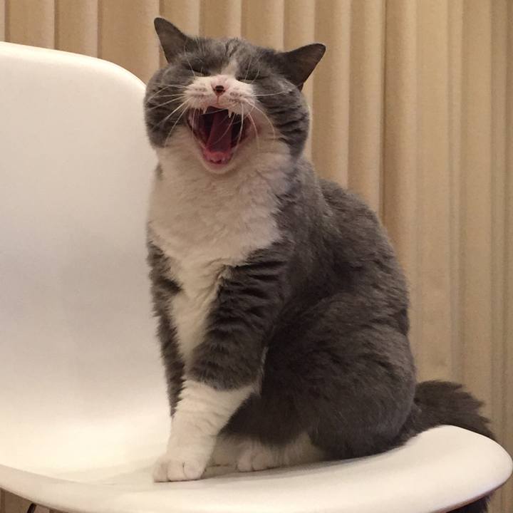 9db1811d a70e 4a8f a53b f60b31f7700a