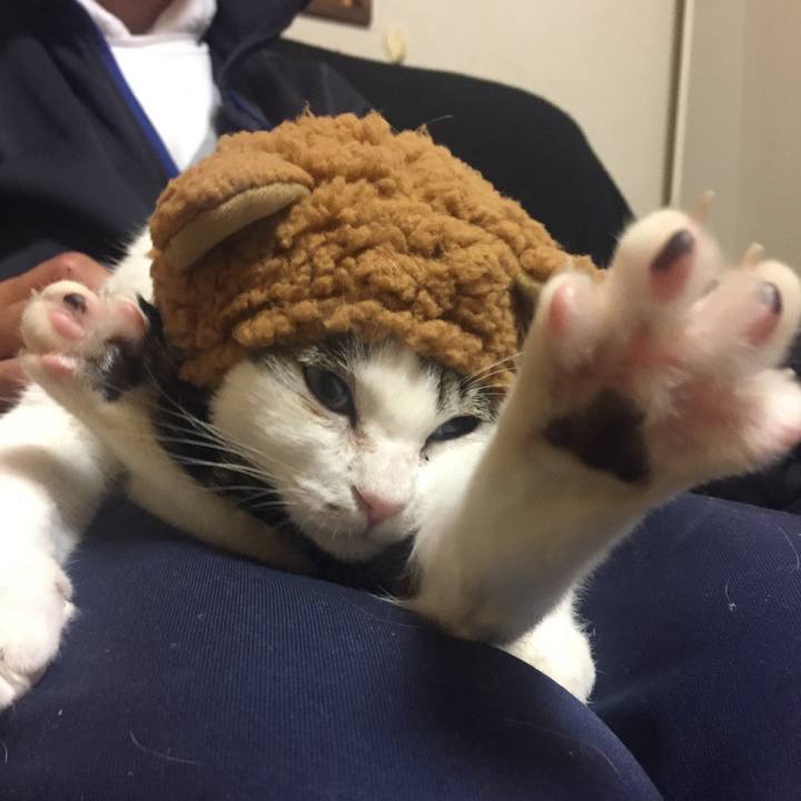 9db1eb54 c934 4b89 a741 c3d1de151a1b