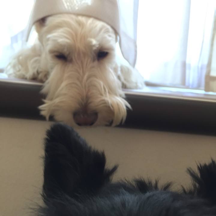 9db1fba6 343e 4987 8a04 c834c65e2b1c